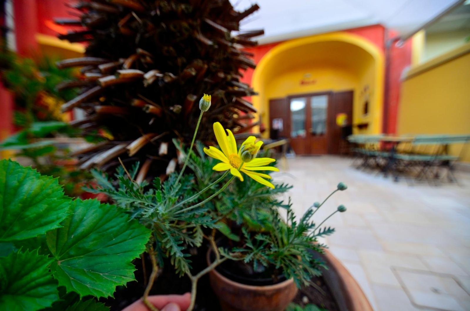 Manouche Osteria B&B San Leucio ภายนอก รูปภาพ